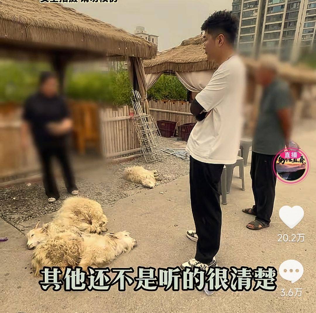60斤活羊实际只有30多斤<strong></p>
<p>okex登陆官网</strong>！博主打假重庆两家烤全羊店获“退一赔三”