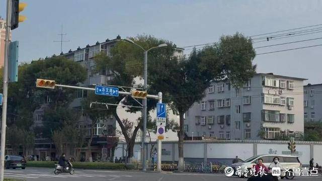 济南街头“恐龙树”走红<strong></p>
<p>okex登陆官网</strong>，园林部门：形态天成，或随天气而变