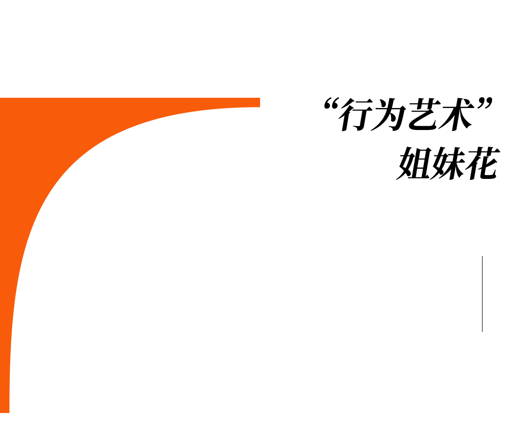 爱马仕当“头饰”<strong></p>
<p>okex登陆官网</strong>，香奈儿挂满身，这对“神秘姐妹”是谁？