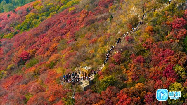 霜降时节<strong></p>
<p>okex欧易官网 </strong>，来潍坊临朐石门坊赴一场红叶之约！