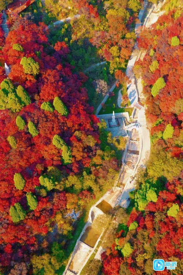 霜降时节<strong></p>
<p>okex欧易官网 </strong>，来潍坊临朐石门坊赴一场红叶之约！
