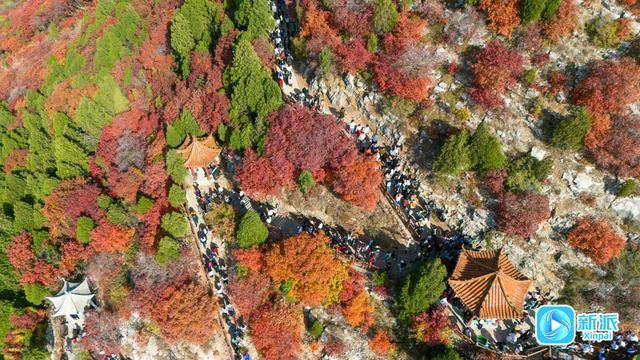 霜降时节<strong></p>
<p>okex欧易官网 </strong>，来潍坊临朐石门坊赴一场红叶之约！